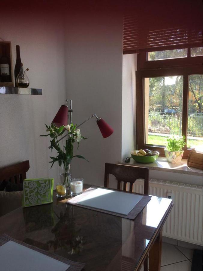 Auf Der Zschopau-Insel Apartamento Exterior foto
