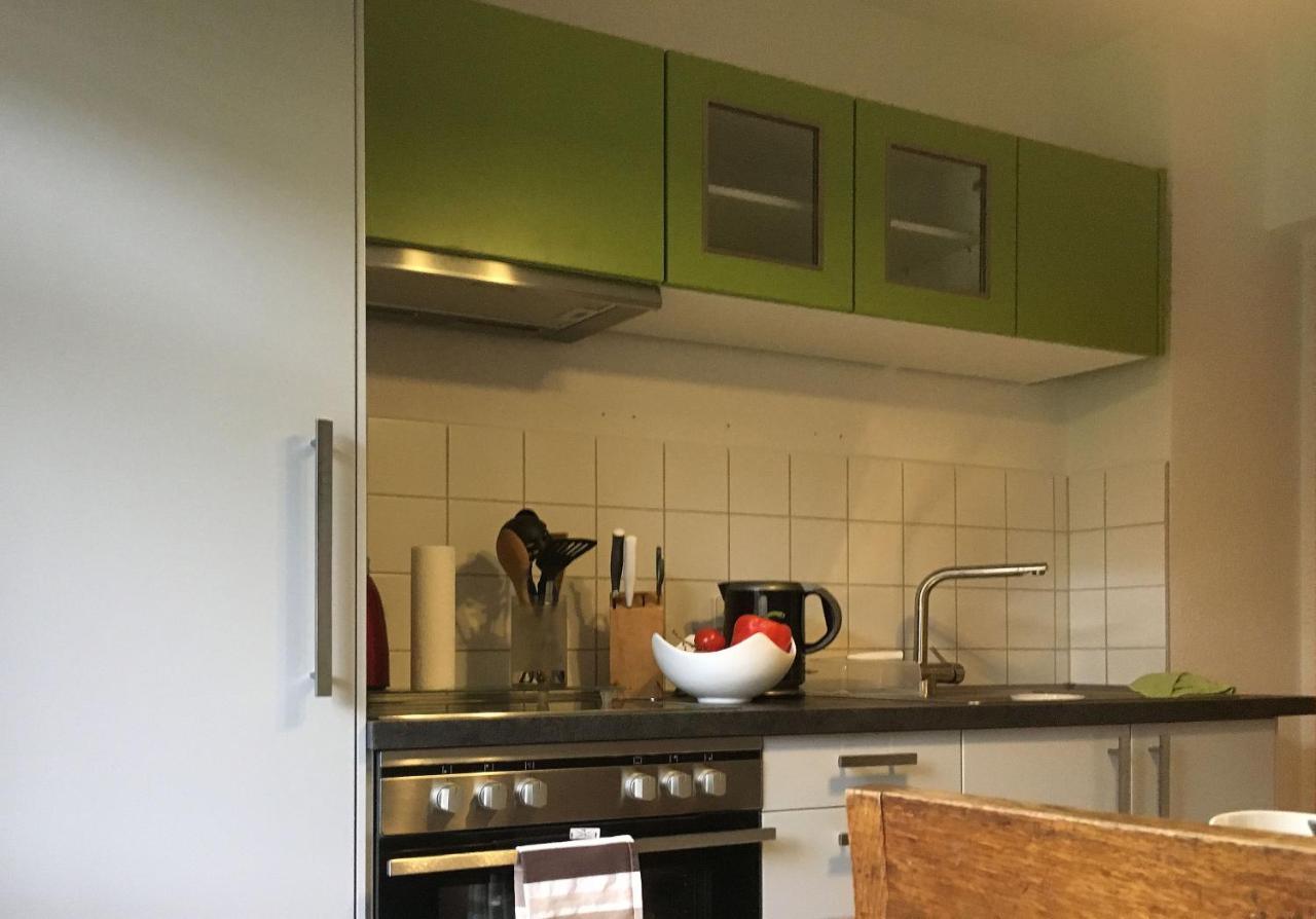 Auf Der Zschopau-Insel Apartamento Exterior foto